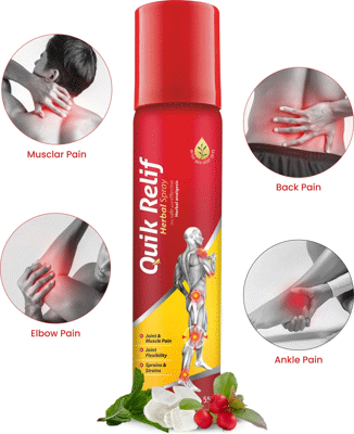 Quik Relif Ayurvedic Pain Relief Spray for Joint, Muscle & Back Pain | Fast-Acting Formula Spray (55 g)
